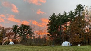 A campsite with two dome-style tents in a grassy field, surrounded by trees and a sunset sky. - ComfyDome Forest-Side Glamping (Jefferson)