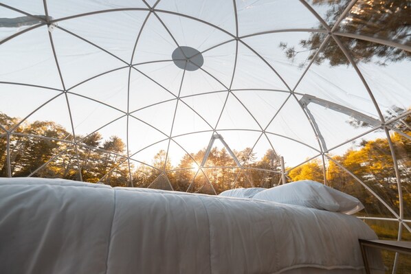 1 室のベッドルーム、WiFi