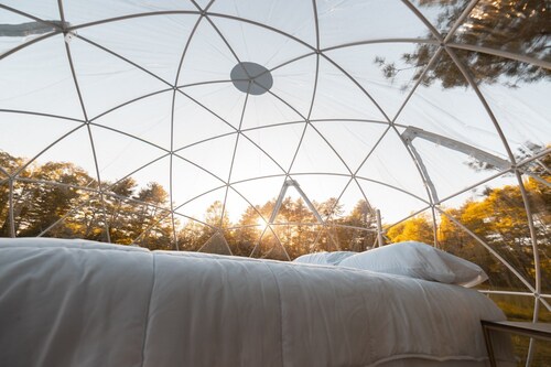 ComfyDome Forest-Side Glamping