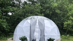Una tienda en forma de cúpula geométrica con una entrada transparente, rodeada de rocas y plantas en macetas.