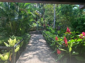 A concrete pathway flanked by lush greenery and flowering plants, leading through a tropical garden setting. - Garden View Apartment (Quepos)
