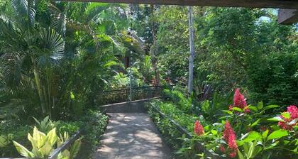 Garden View Apartment