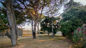 A grassy outdoor area with trees and a concrete wall in the background. - Le Mas De Gleyzes (Ledenon)