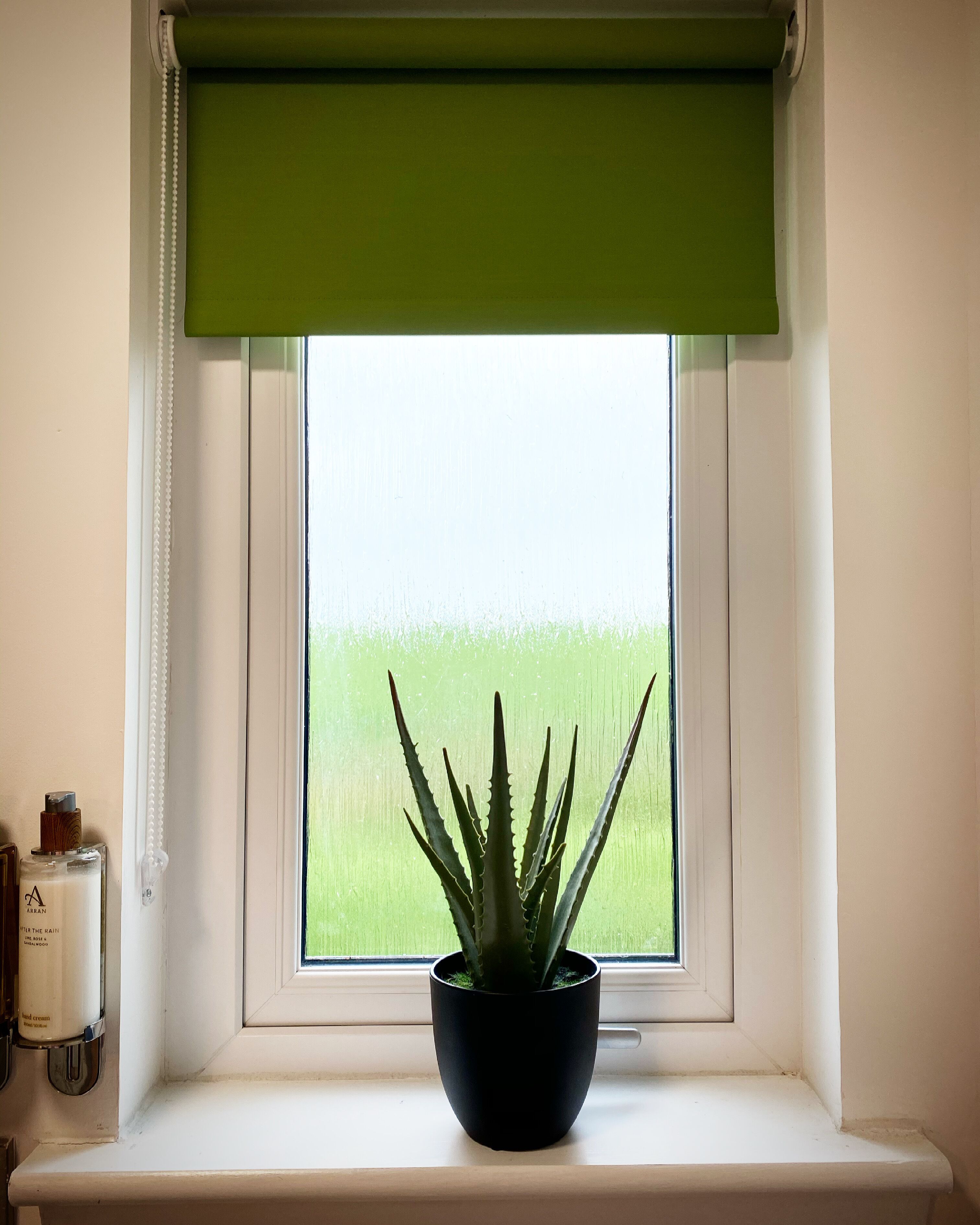 A window with a green roller blind, a potted aloe vera plant, and a bottle of hand cream on the windowsill.