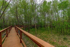 Property grounds - GrandLake*Kayak*Forest View*Firepit*King*Lakefront (Grove)