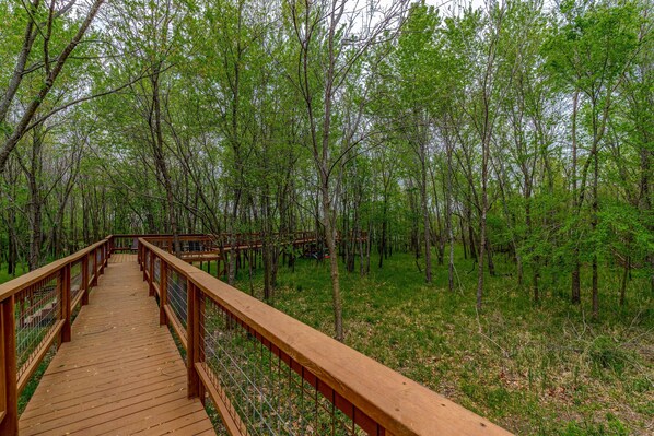 A wooden boardwalk through a forest with dense green trees.