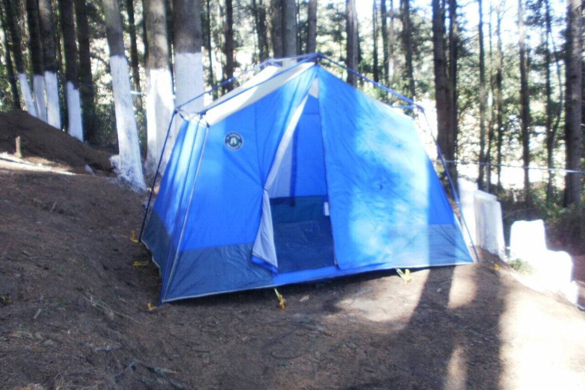 Space for a Tent.  Tent/Bed not provided