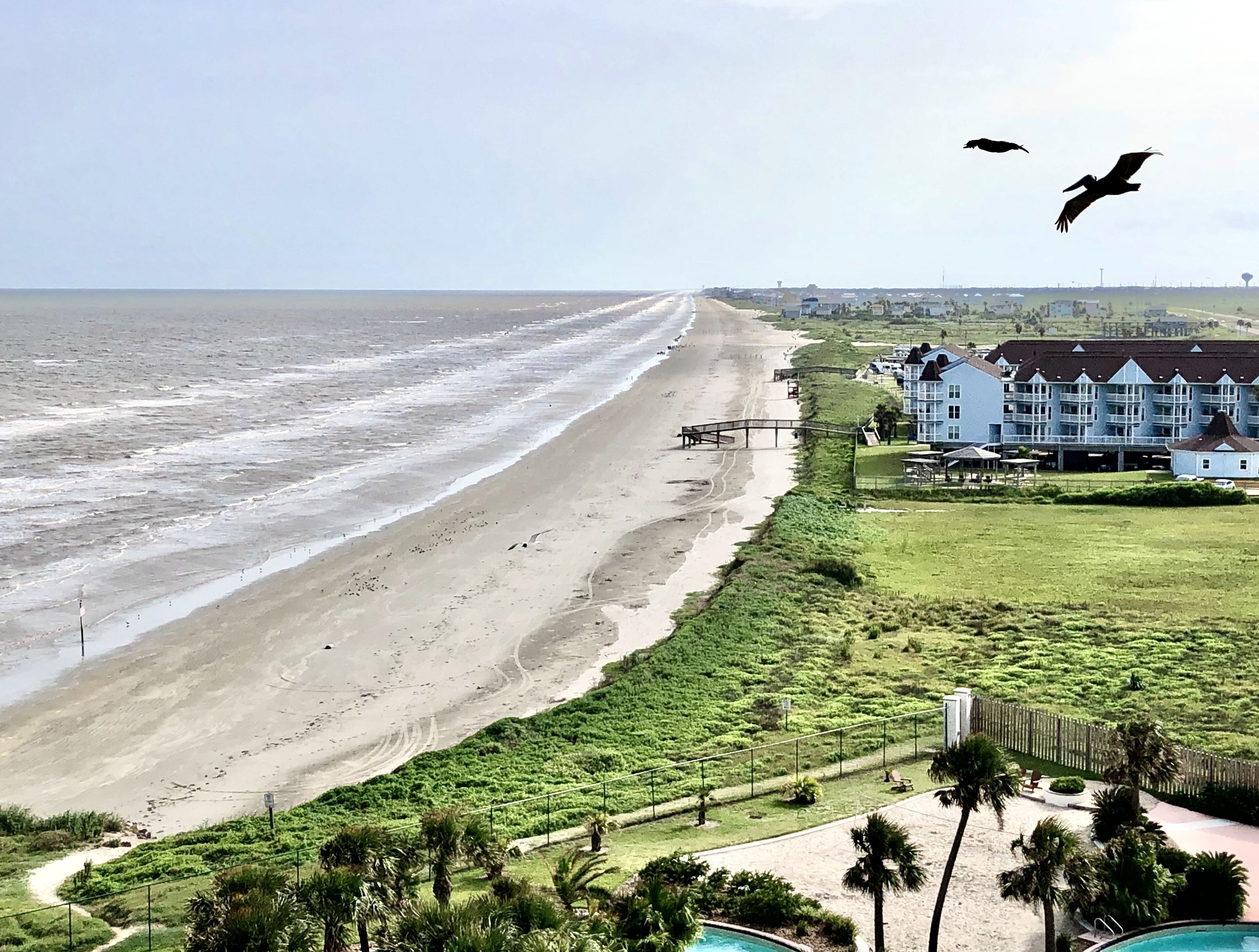 A coastal hotel with a beach view, a swimming pool, and a golf course.