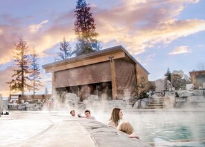 Et område med varme kilder, en træbygning, dampfuger og en pool.