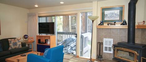 电视、壁炉、DVD 播放器