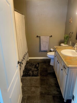 Combined shower/bathtub, hair dryer, towels, toilet paper