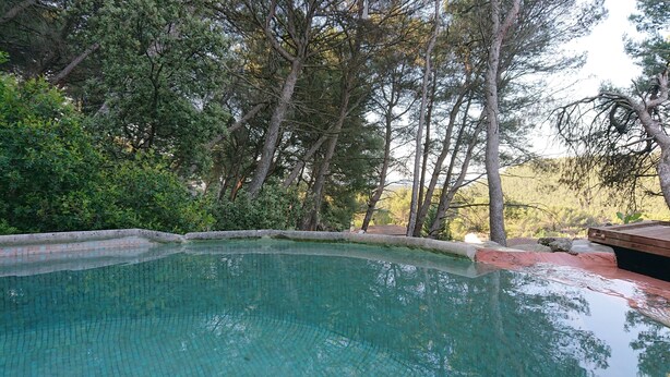 Piscina cercada por árvores.