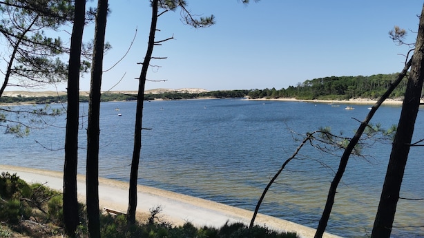 A lakeside view with clear skies, calm water, and a sandy beach.