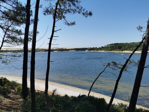 Vista de un lago con cielos despejados, aguas tranquilas y una playa arenosa.