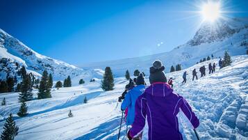 Wintersport/Ski