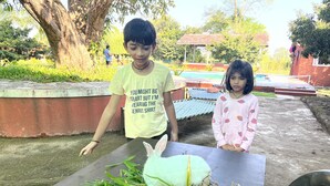 Two individuals at an outdoor table with a rabbit and green plants. - Mango Tree Farm (Karjat)