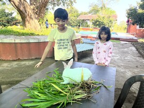 Pet-friendly - Mango Tree Farm (Karjat)
