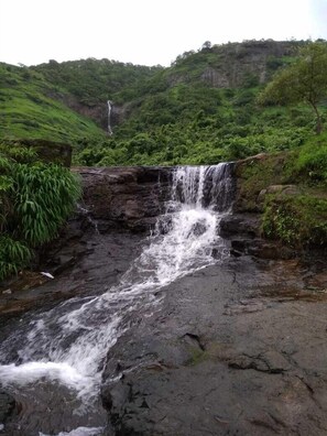 A waterfall cascading over a rocky surface surrounded by lush greenery. - Mango Tree Farm (Karjat)