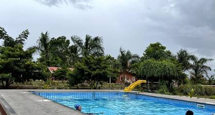 Mango Tree Farm