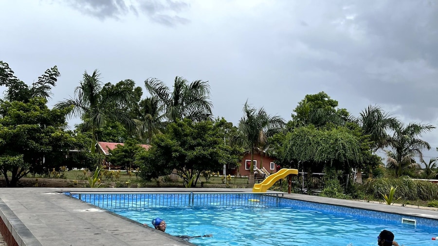 Mango Tree Farm