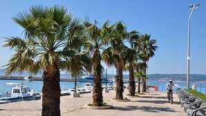 Un sendero pavimentado bordeado de palmeras, un ciclista y barcos al fondo.