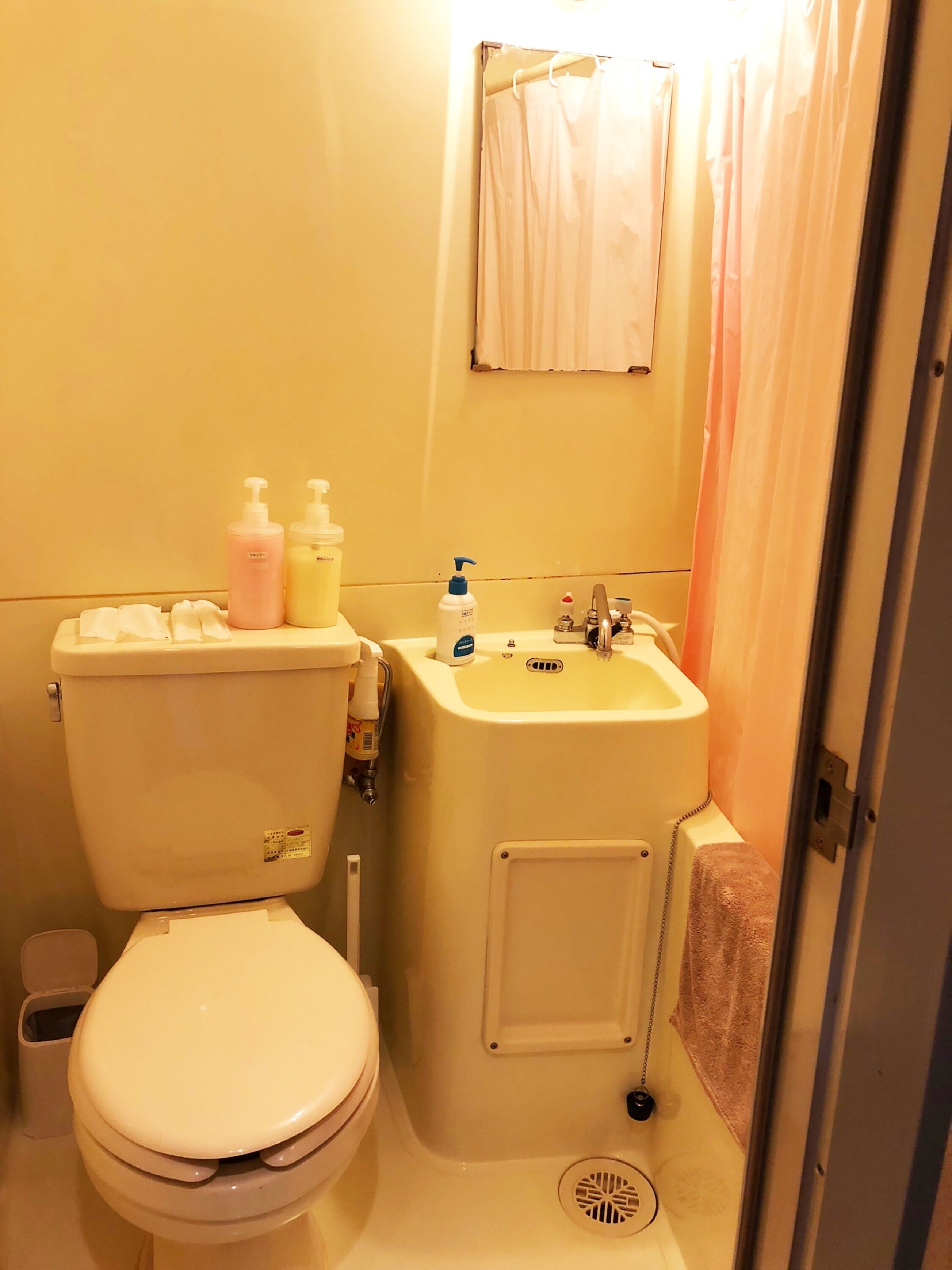 A small bathroom with a toilet, sink, and a shower curtain.