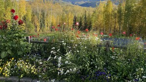 A garden with a variety of flowers and trees, a wooden fence, and a clear blue sky. - Escape to Birchwood Suite (Fairbanks)