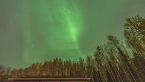 A house with a balcony, surrounded by a forest. - Escape to Birchwood Suite (Fairbanks)