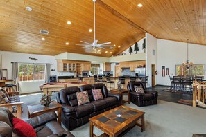 Televisio, takka, DVD-soitin, videokirjasto