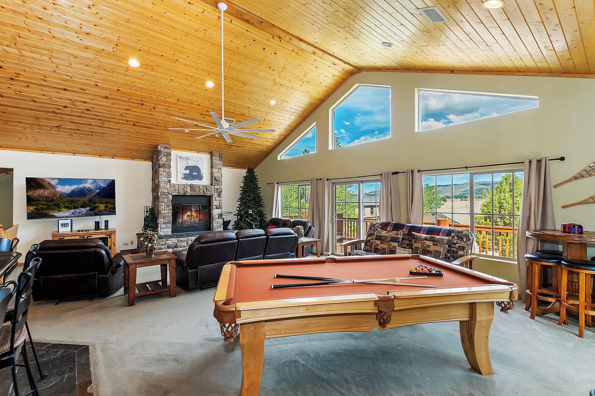 تلفزيون، مدفأة، مشغل دي في دي، مكتبة فيديو