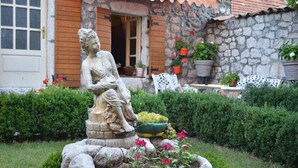 Garden - Apartments L&M (Cetinje)