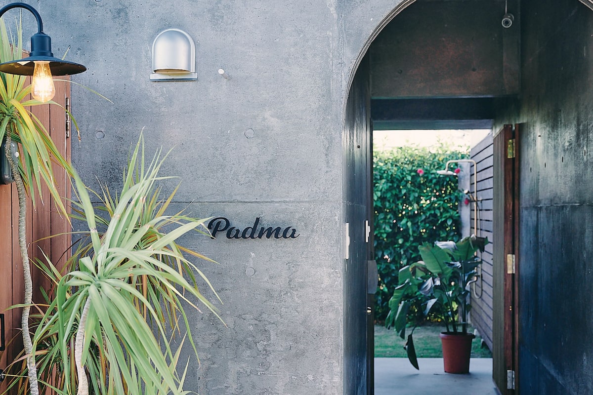 A concrete wall with the name "Padma" and a potted plant.