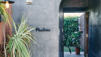A concrete wall with the name "Padma" and a potted plant.