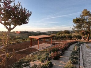 Property grounds - Vacation home Raggio di Sole in Tavullia (Marche)