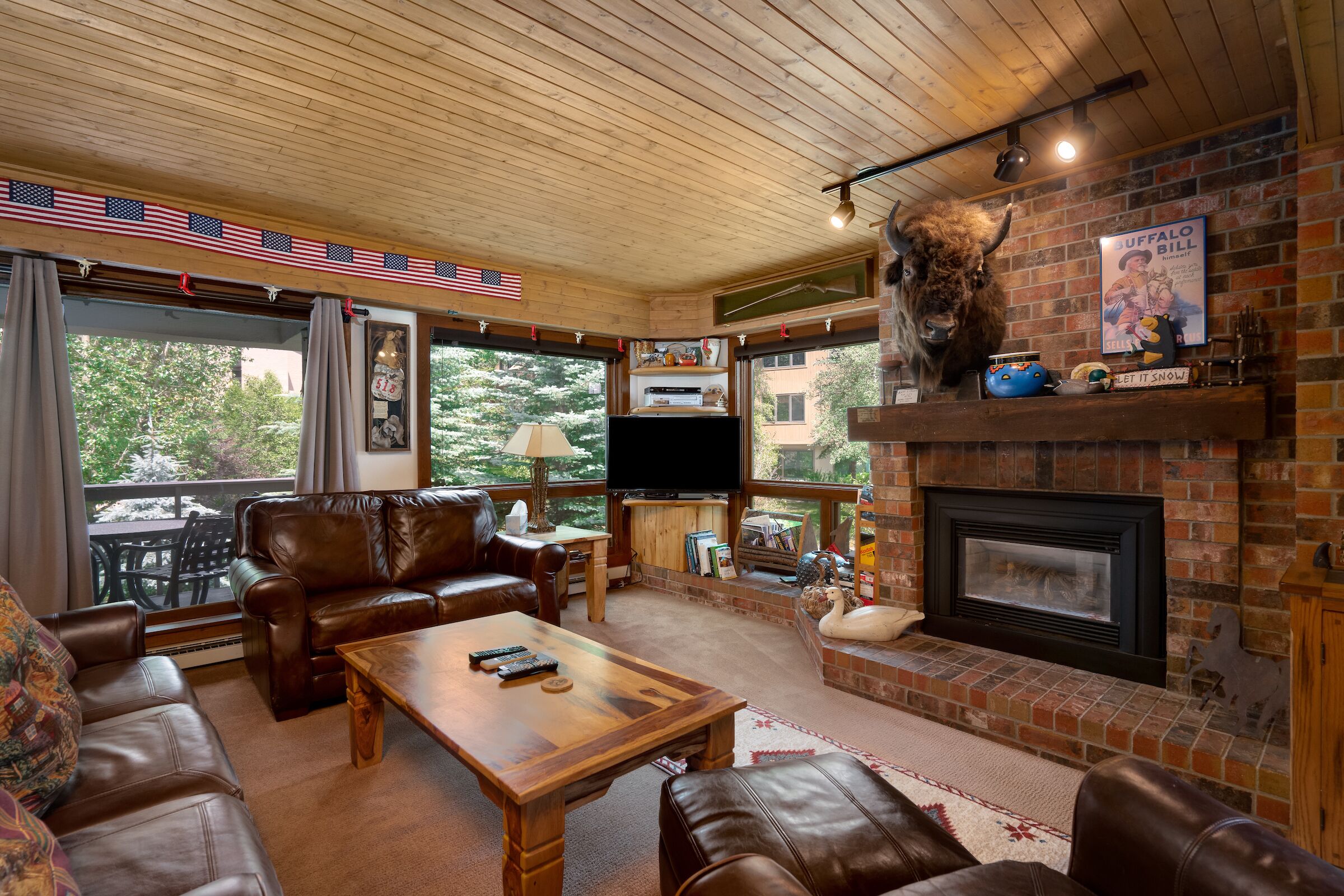 TV, fireplace, DVD player