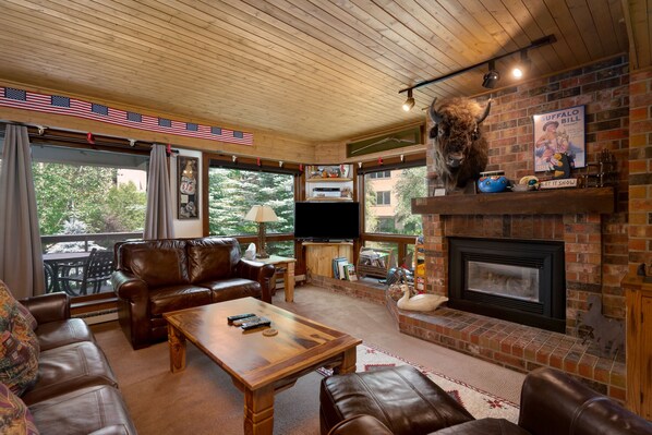 TV, fireplace, DVD player