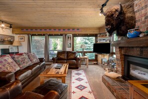TV, fireplace, DVD player