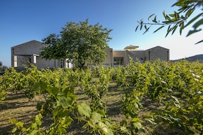 Vue sur le jardin