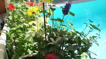 Seasonal outdoor pool, pool umbrellas, pool loungers