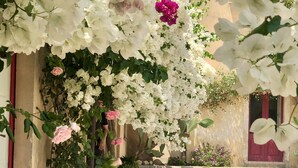 En bygning med et haveområde med hvide og lyserøde blomster, en røddør og en støbt sti.