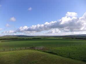 Photo non classée, 4 sur 7, bouton