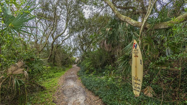 A narrow dirt path surrounded by dense tropical vegetation.