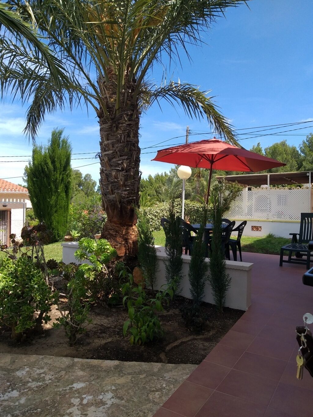 Un espace patio agrémenté d’un palmier, de mobilier d’extérieur et d’un parasol rouge.
