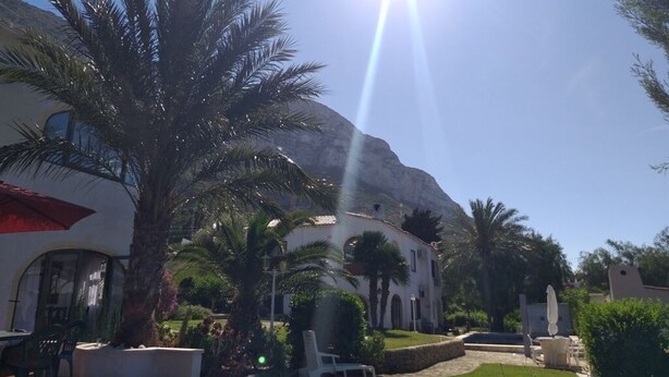 Un resort con palmeras, montañas al fondo y cielo despejado.