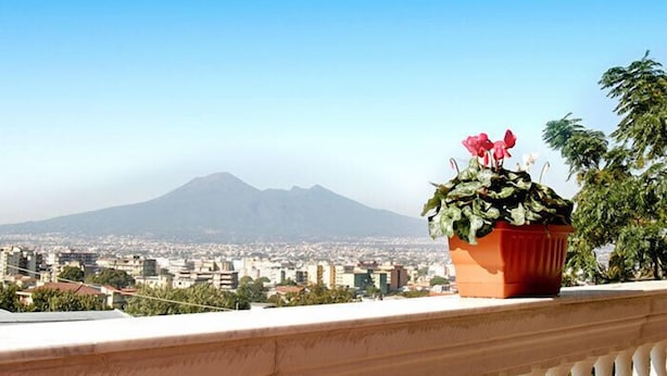 Un balcon orné d’un pot de fleurs, d’où l’on peut admirer un paysage urbain et, au loin, une montagne.