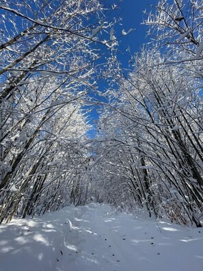 Sneeuw- en skisporten