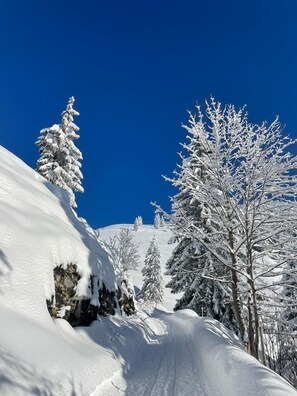 Sneeuw- en skisporten