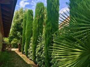 Property grounds - Architect designed Villa on the Hills * Sea view * Pool * Aircon * Walk to the beach (Vallauris)