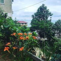 Jardim