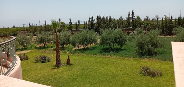 Property grounds - High standing villa Havre de paix (Marrakech)